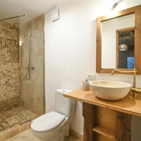 Apartment Downtown Rustic Brasov